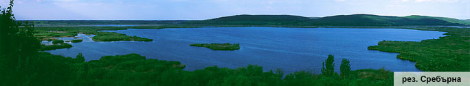 danube_pelican_panorama_bg