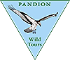 LogoPandionWildTours_small